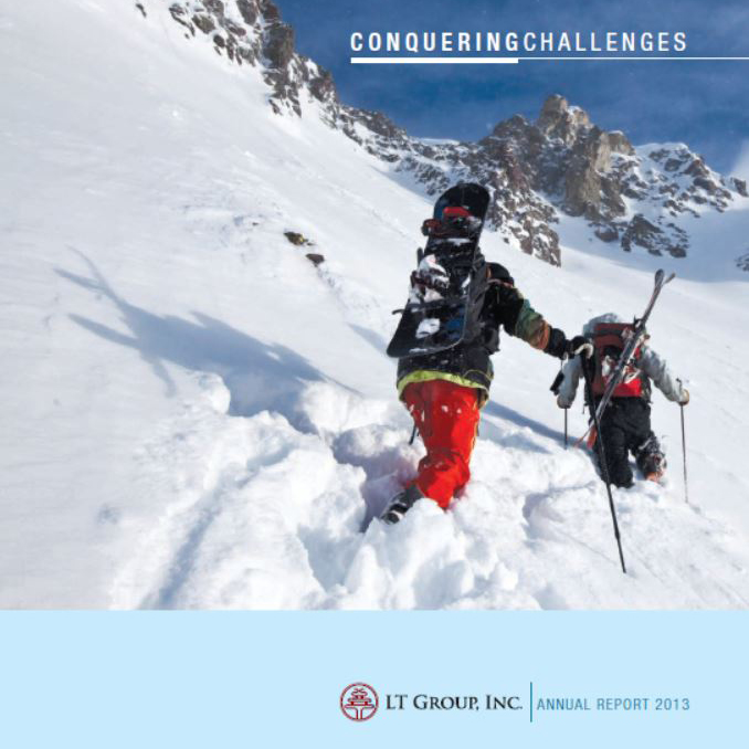 2013 annual report